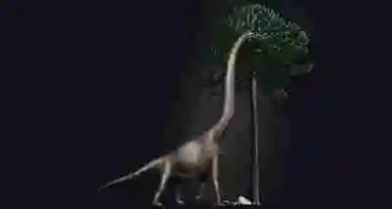 Paleontólogos descubren el pie de dinosaurio más grande encontrado hasta el momento