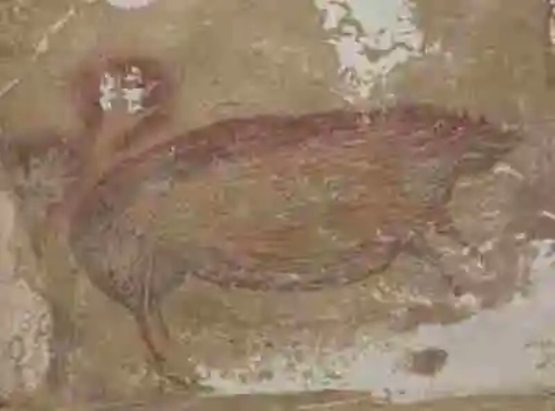 El dibujo del animal más antiguo en el mundo