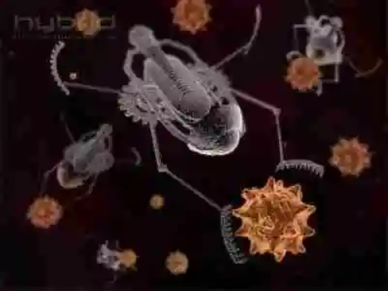 Hormigas robóticas para colonizar Marte