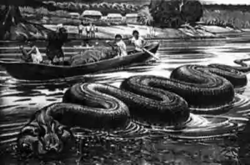Serpientes y monstruos fluviales gigantes