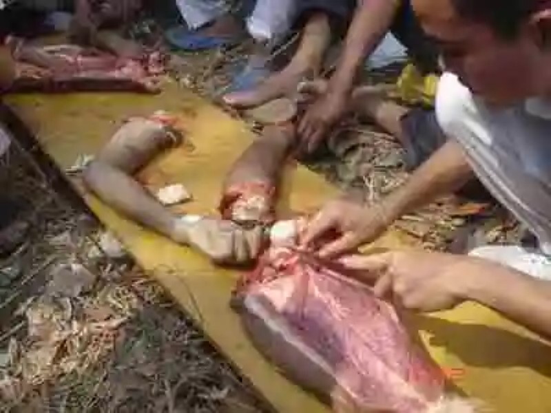 Clase práctica de anatomía en Tailandia