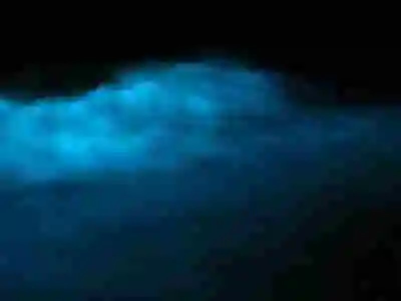 Olas bioluminiscentes, todo un espectáculo de la naturaleza