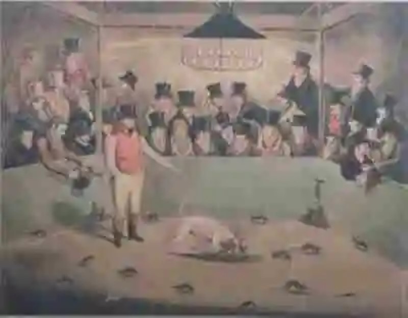 Los «pozos de ratas», un curioso entretenimiento de la Inglaterra Victoriana
