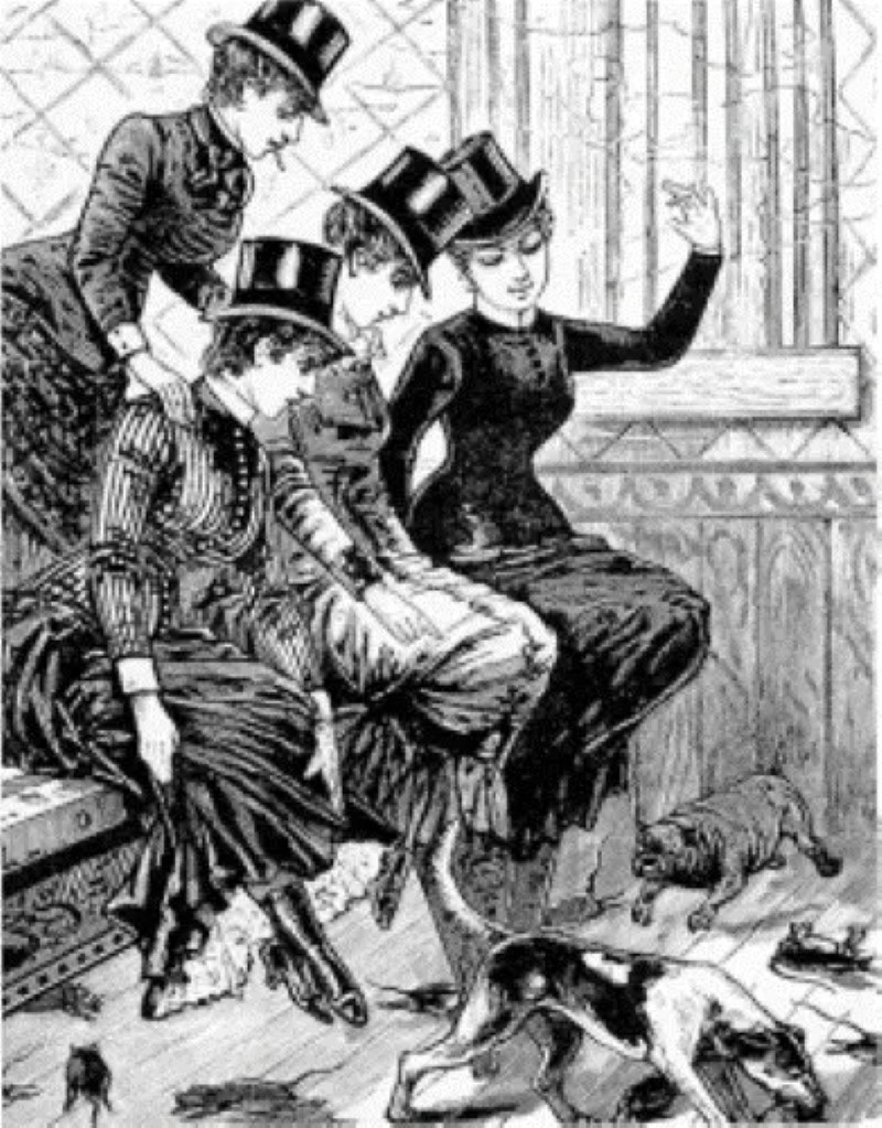 Los «pozos de ratas», un curioso entretenimiento de la Inglaterra Victoriana