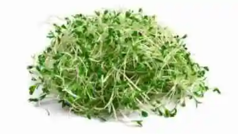 Propiedades medicinales de la alfalfa