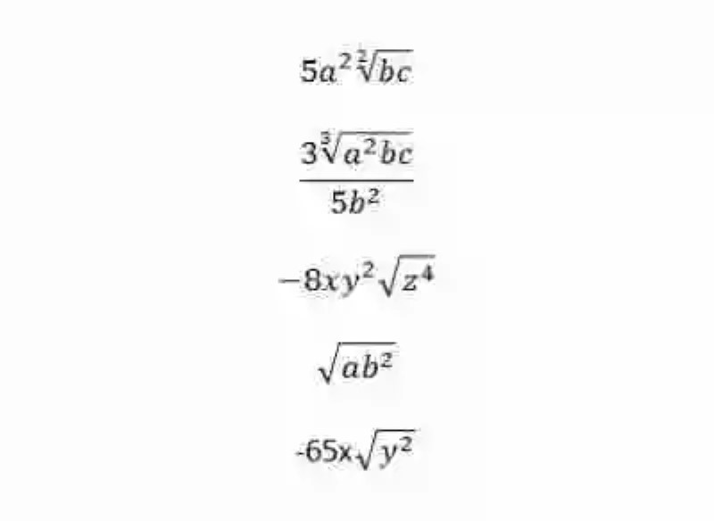 Términos algebraicos racionales