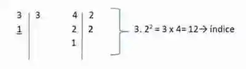 Ejemplos de división de raíces de distinto índice