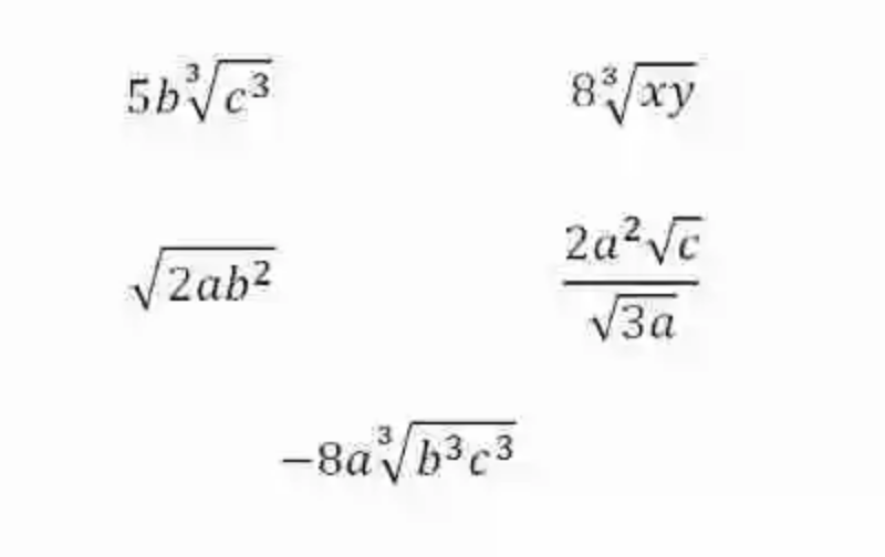 Ejemplos de Términos algebraicos racionales