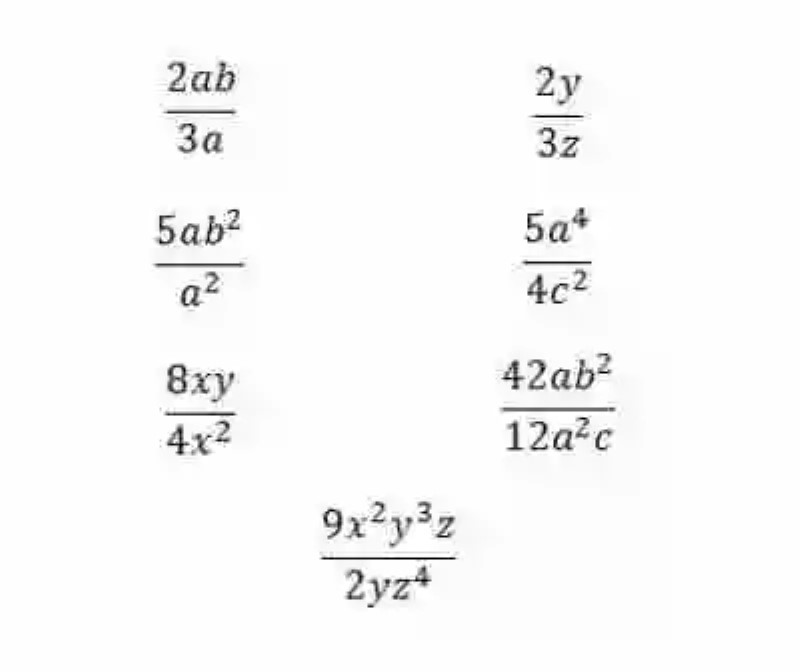 Ejemplos de términos algebraicos fraccionarios
