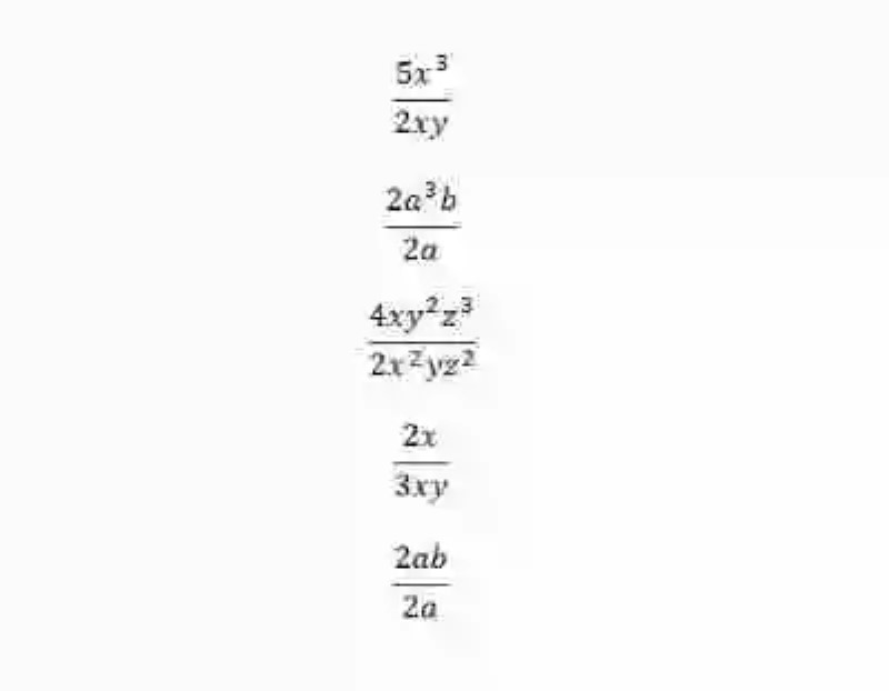 Ejemplos de términos algebraicos