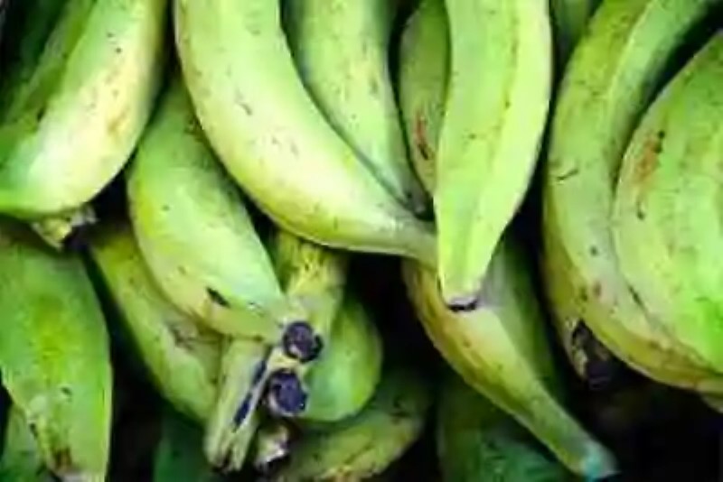 Propiedades medicinales del plátano verde