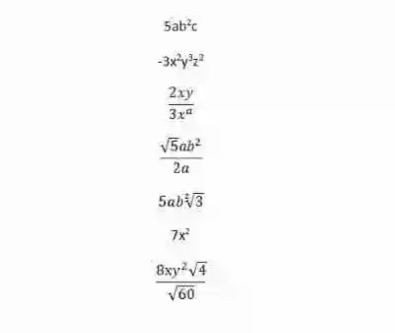 Términos algebraicos irracionales