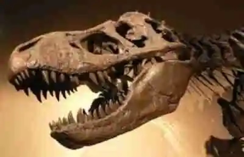 La verdadera historia de la extinción de los dinosaurios