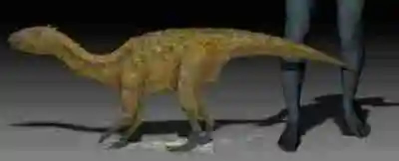 Los dinosaurios más pequeños del mundo