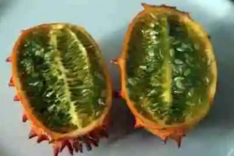 Las frutas exóticas más hermosas del mundo