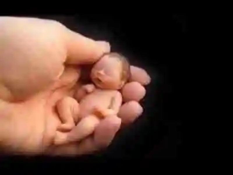 Los nacimientos más extraños del mundo