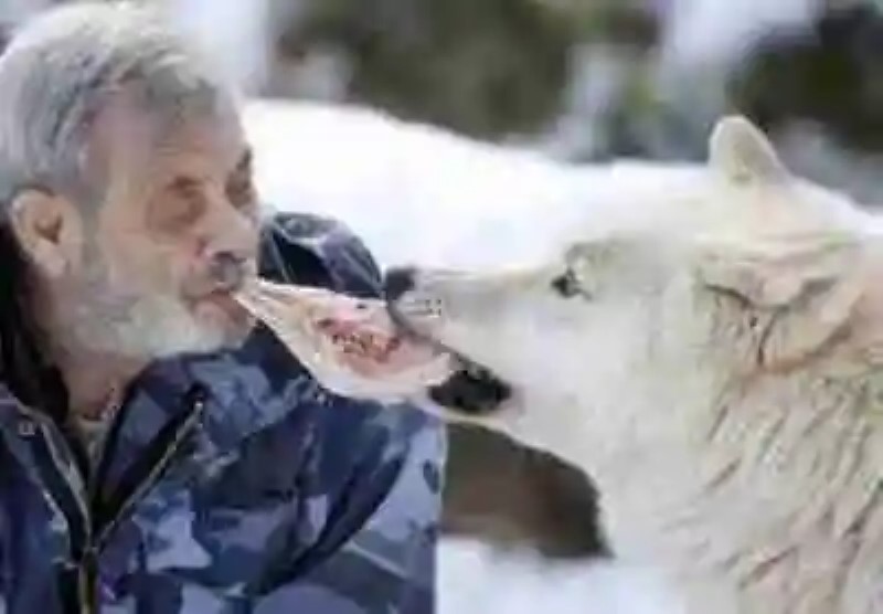 El hombre que ha vivido 40 años con los lobos