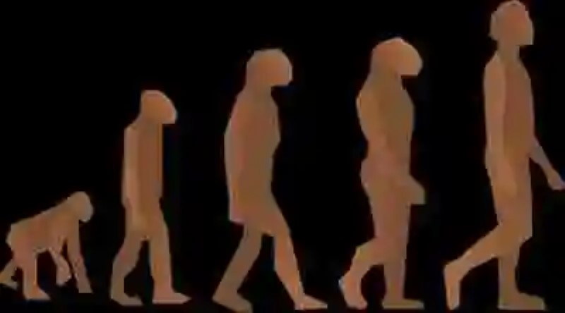 Línea del tiempo de la evolución del hombre