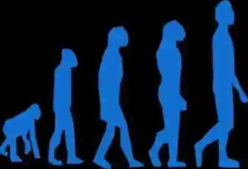 La Evolución Humana: diferentes aspectos biológicos