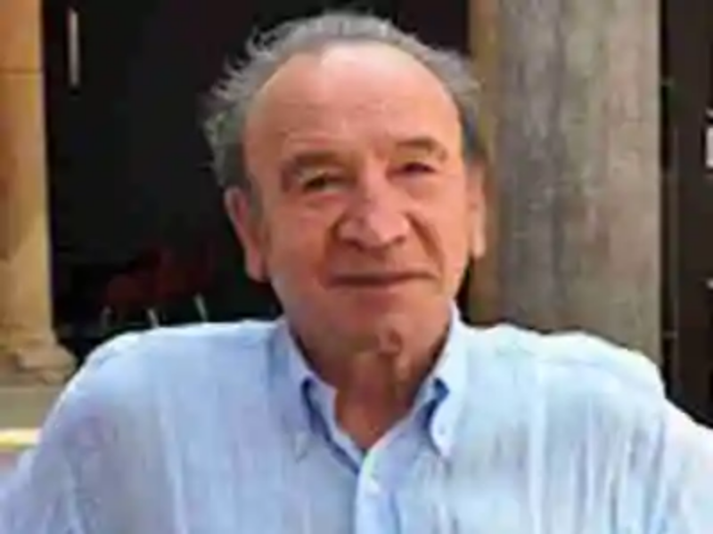 Biografía de Raúl Gabás Pallás