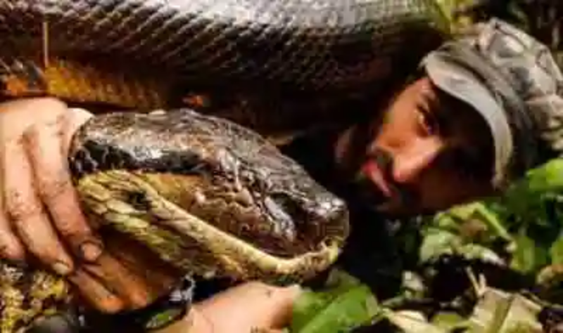 El hombre que fue comido por anaconda en vivo