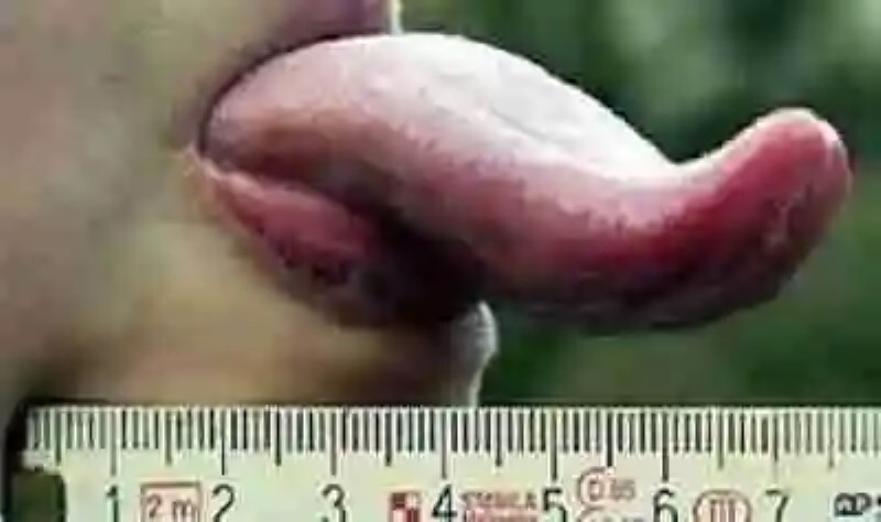 La mujer con la lengua más larga del mundo