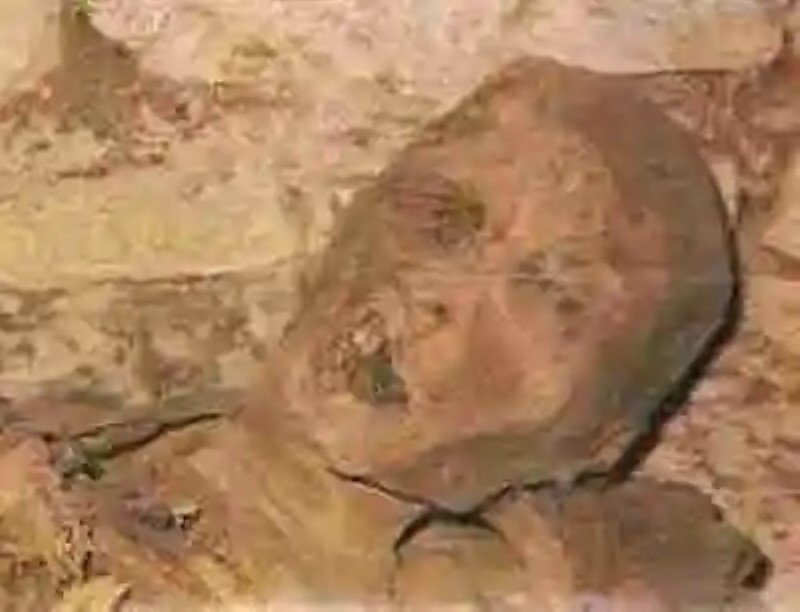 Las momias emparedadas de Llerena